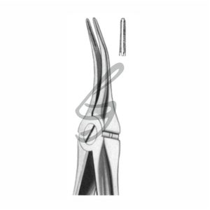 Zahnzange Fig 149 – Soligs, Extraction Forceps