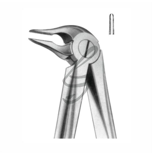 Zahnzange Fig 133 – Soligs, Extraction Forceps