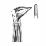 Zahnzange Fig 59 – Soligs, Extraction Forceps