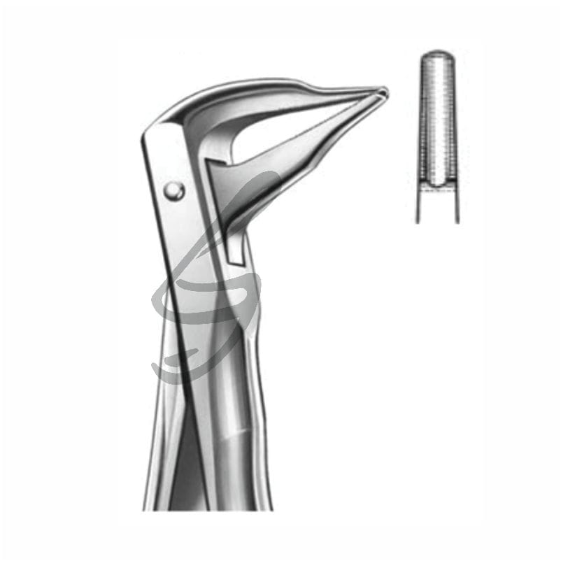 Zahnzange Fig 59 – Soligs, Extraction Forceps