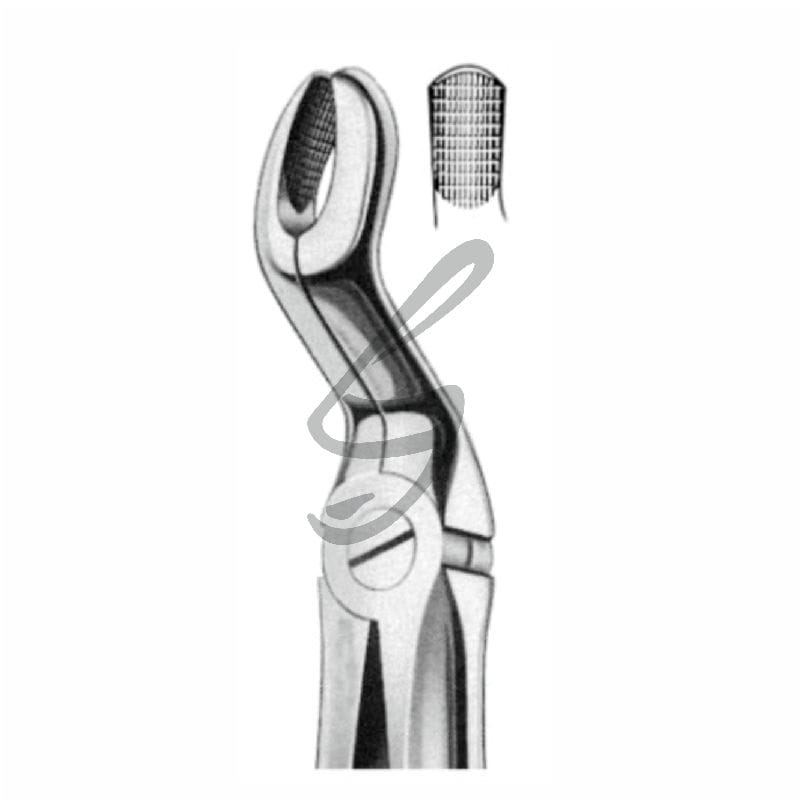 Zahnzange Fig 67A – Soligs, Extraktionszangen