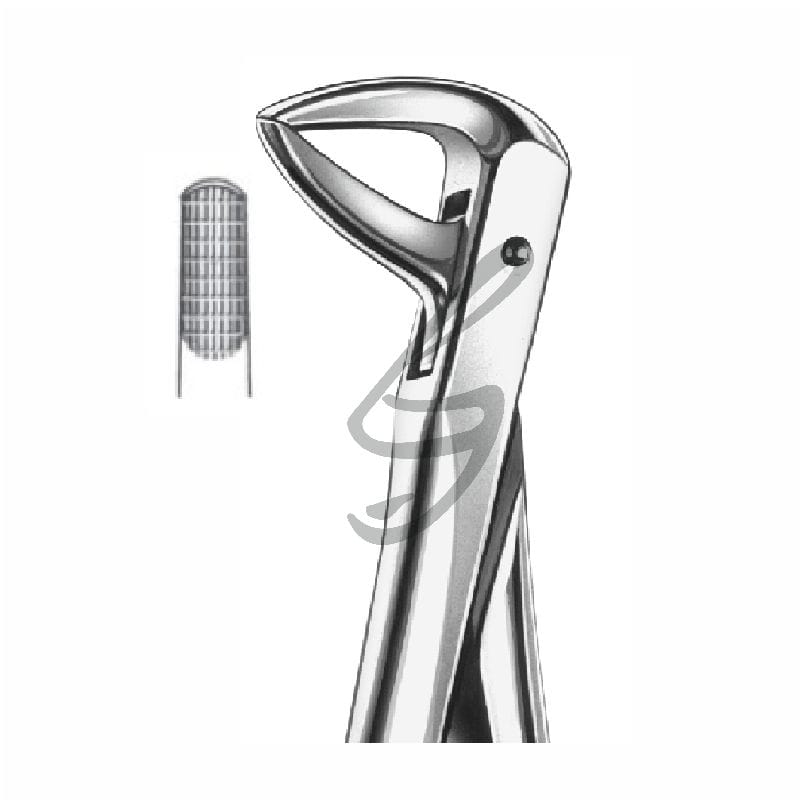Zahnzange Fig 74N – Soligs, Extraction Forceps