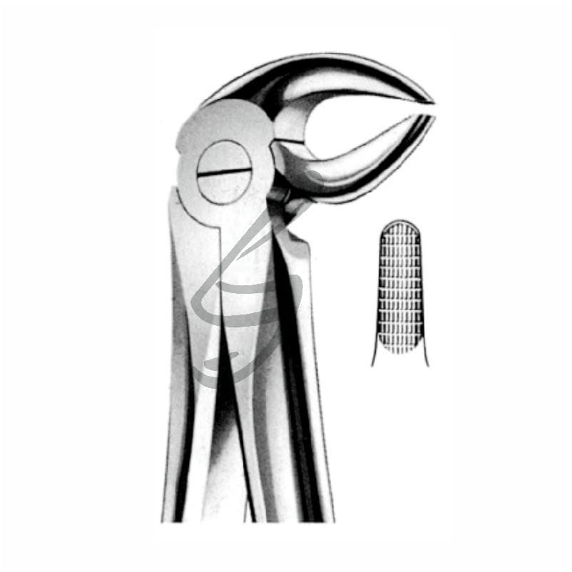 Zahnzange Fig 13 – Soligs, Extraktionszangen