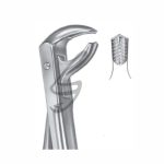 Zahnzange Fig 73 – Soligs, Extraction Forceps