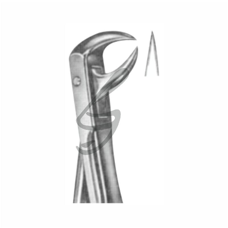 Zahnzange Fig 71 – Soligs, Extraction Forceps
