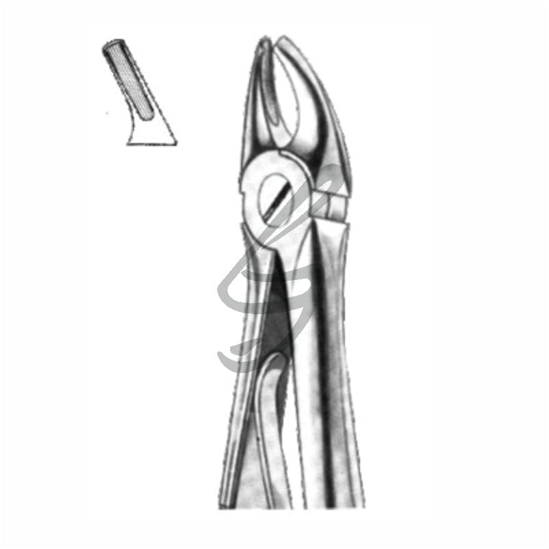 Kinder-Zahnzange Fig 139 – Soligs, Extraction Forceps