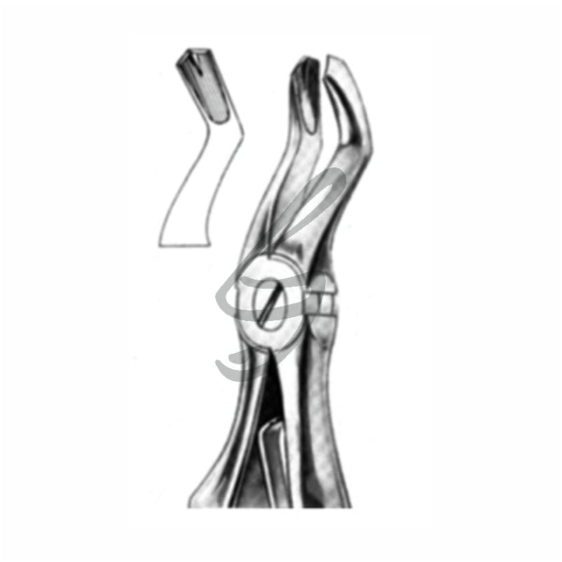 Kinder-Zahnzange Fig 3 – Soligs, Extraction Forceps