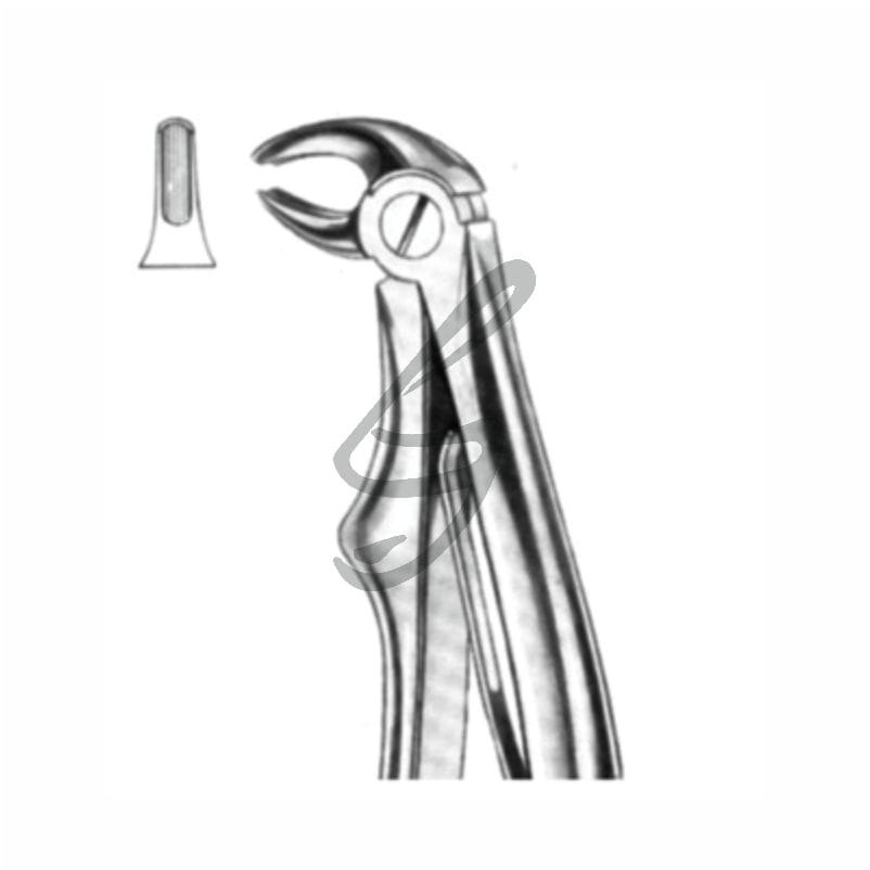 Kinder-Zahnzange Fig 5 – Soligs, Extraction Forceps