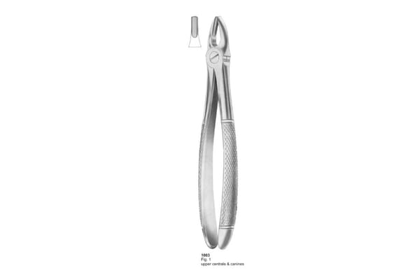 Extracting Forceps