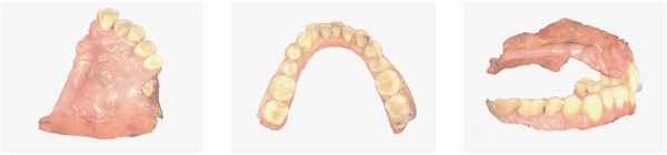 Aidite Cameo Rapid 3