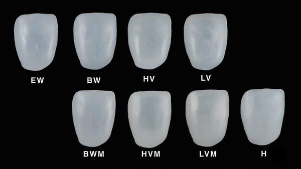 Aidite EZneer, veneer zirconia