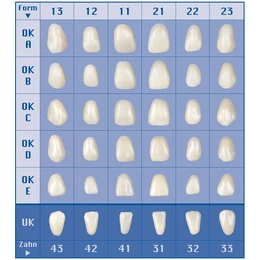 Assortment of 5 veneers of all forms + 1 can of wax up sculpturing wax