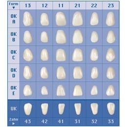 Assortment of 5 veneers of all forms + 1 can of wax up sculpturing wax