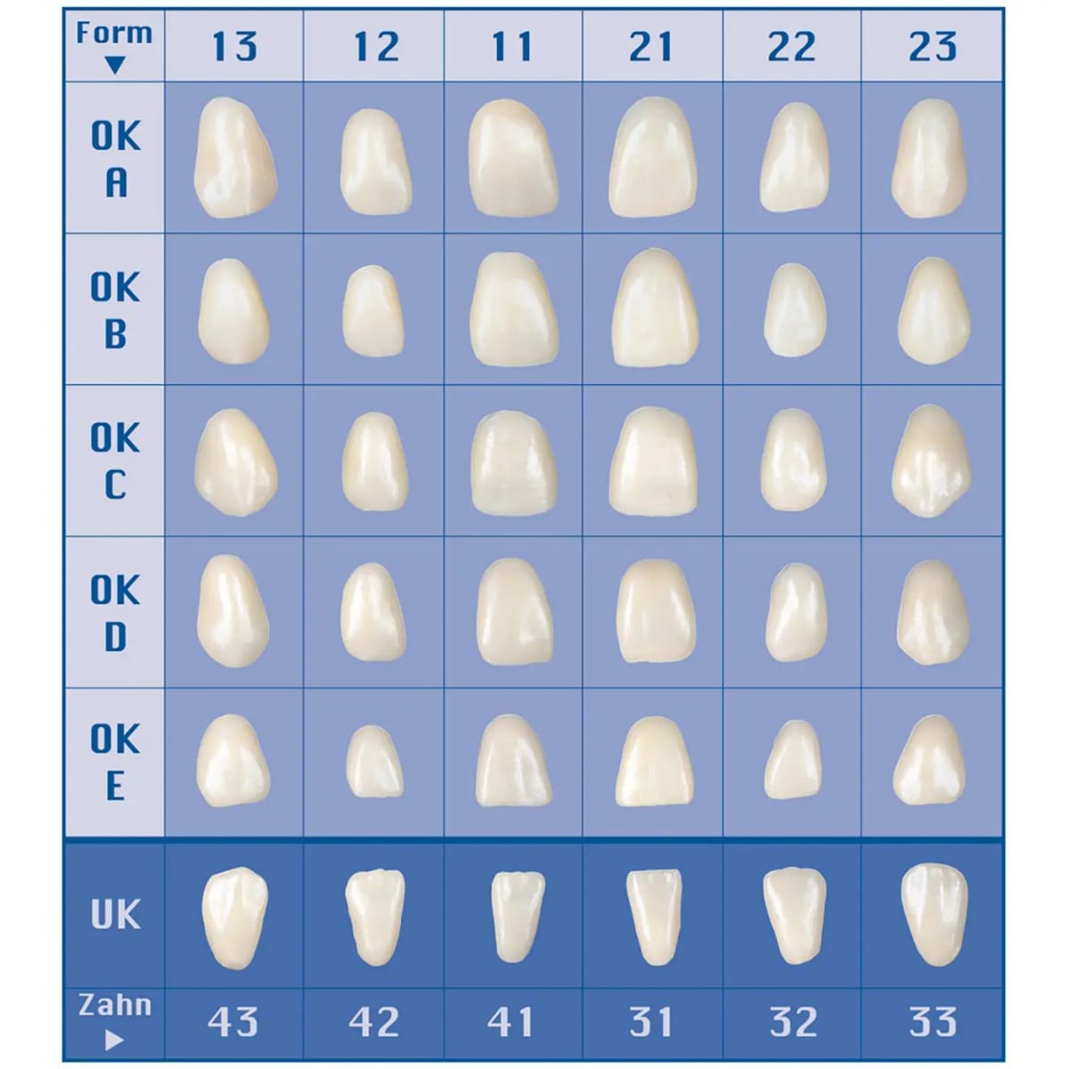 Wax Veneers Form 12E, 10 St – al dente Dentalprodukte, Wachse