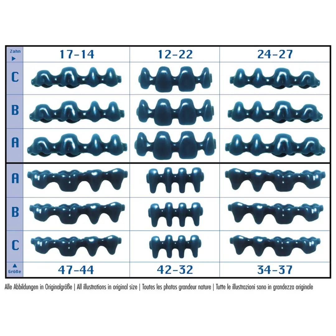 Assortiment de pontiques en cire préfabriqués sans collet – al dente Dentalprodukte, Waxes