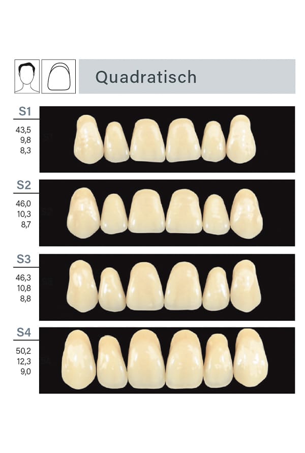 INKA plus – ARGEN Dental, Ceramic Materials