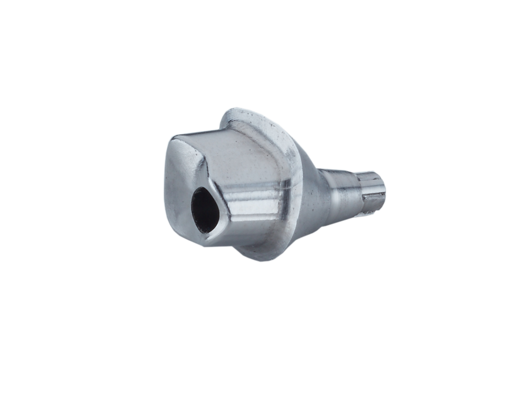 Camlog Original individuelle Abutments – Titan – ARGEN Dental, Abutments