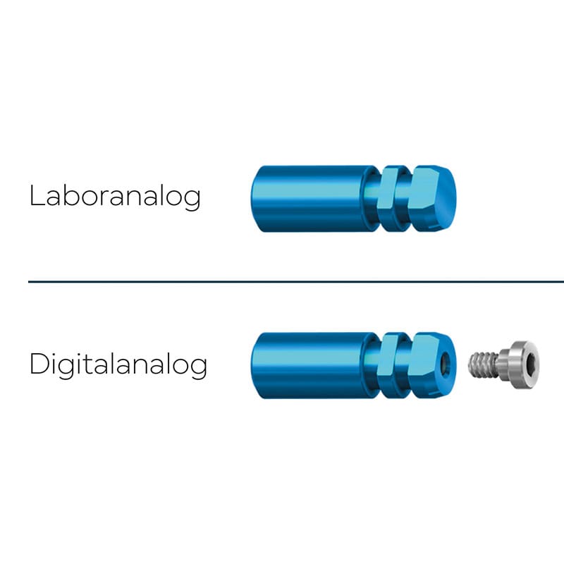 Analoge – ARGEN Dental, Sonstiges