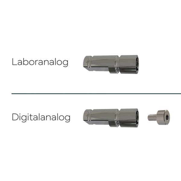 Analoge