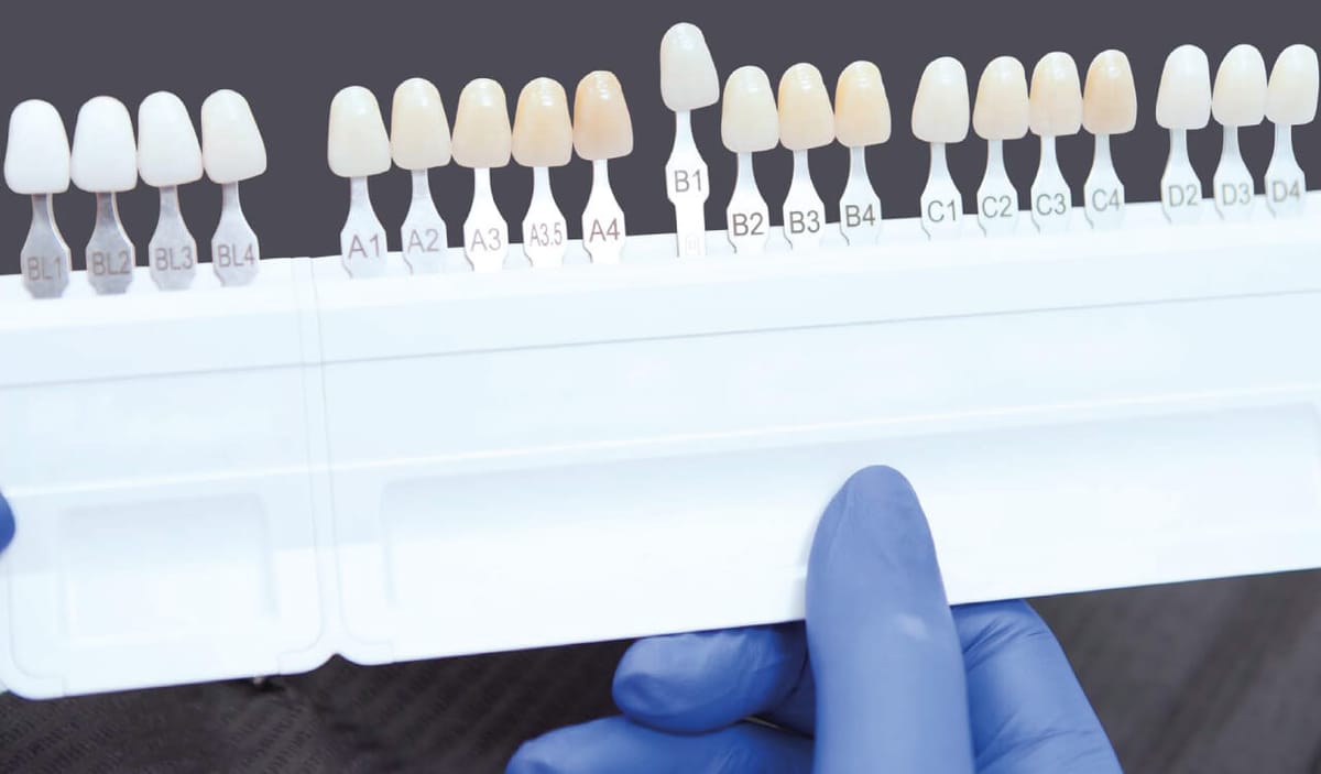 FORMULATE 'n SHADE – Arma Dental Uretim Sistemleri San Ve Tic Ltd Sti, Resins
