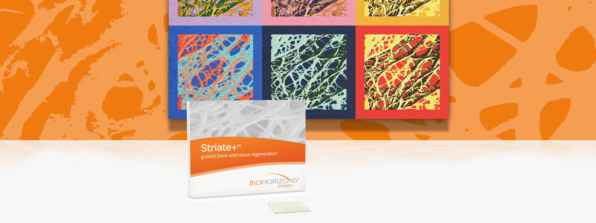 Striate+ natural collagen membrane