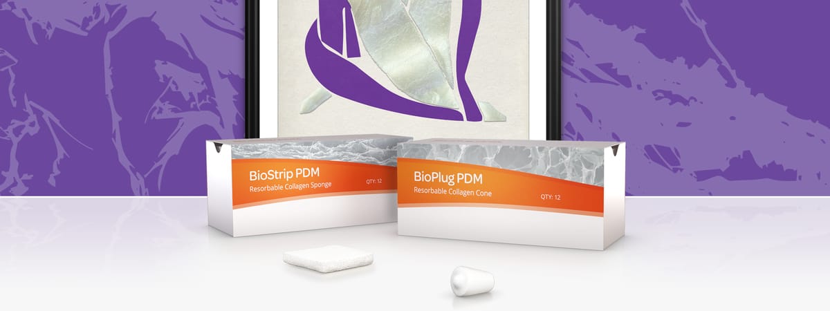 BioPlug and BioStrip Wound dressings – Camlog, Implantology