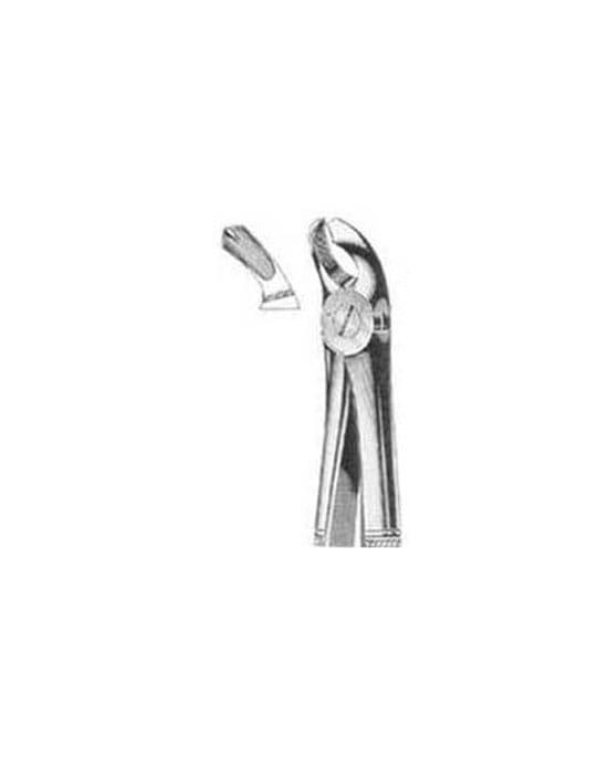 Tooth Extracting Forceps s.s English Pattern Fig 20