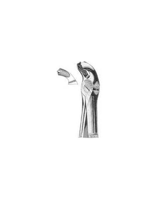 Tooth Extracting Forceps s.s English Pattern Fig 21 (2)