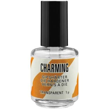 Vernis á Die 1 µ – CHARMING Dentalprodukte GmbH, Dental Laboratory Supplies
