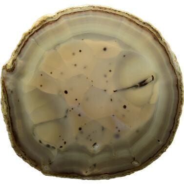 Agate Mixing Palette L 260 B 250 H 7 mm 6202-12 – CHARMING Dentalprodukte GmbH, Other Dental Laboratory Materials