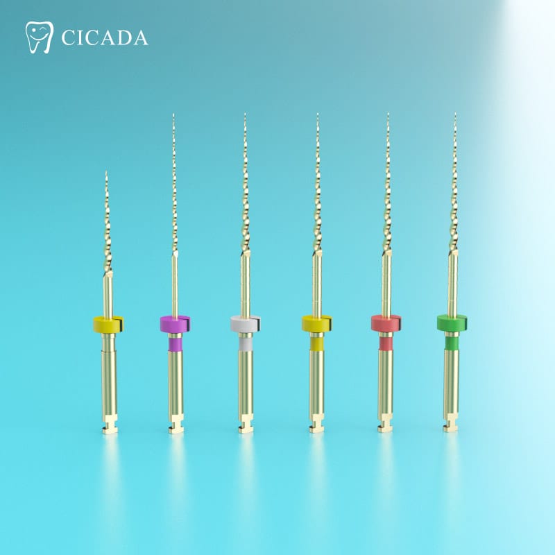 Endo File DT-EN R6 – Foshan Cicada Dental Instrument Co., Ltd, Files (Machine Use)