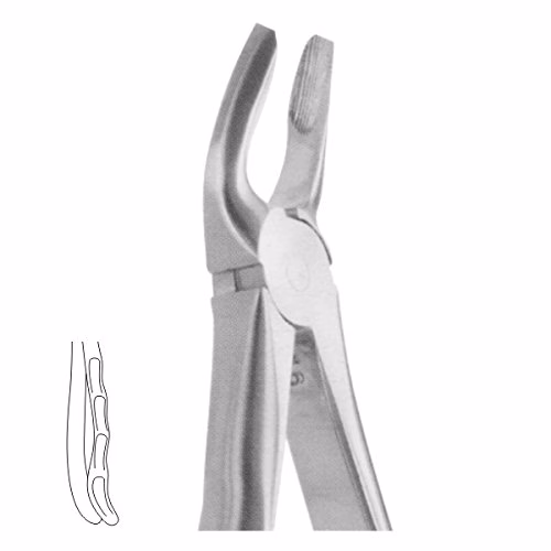 Anatomical Extracting Forceps, Upper Premolars, No. 7 – ComDent – Commic International Ltd., Extraction Forceps