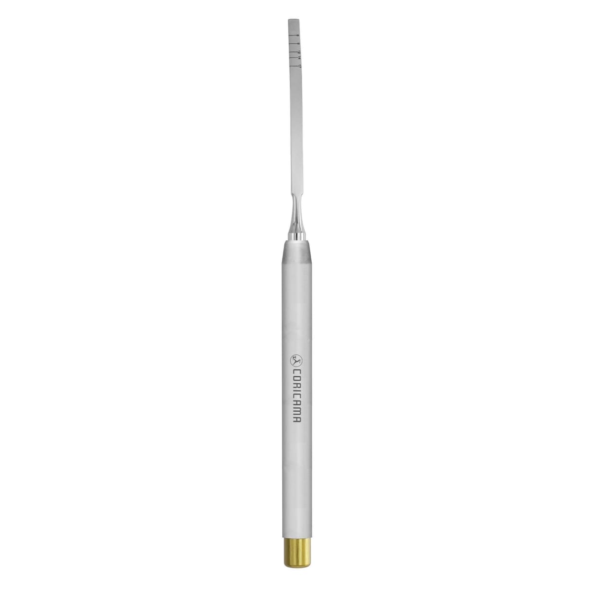 CHISEL mm3.8 CURVED 452625 – Coricama srl