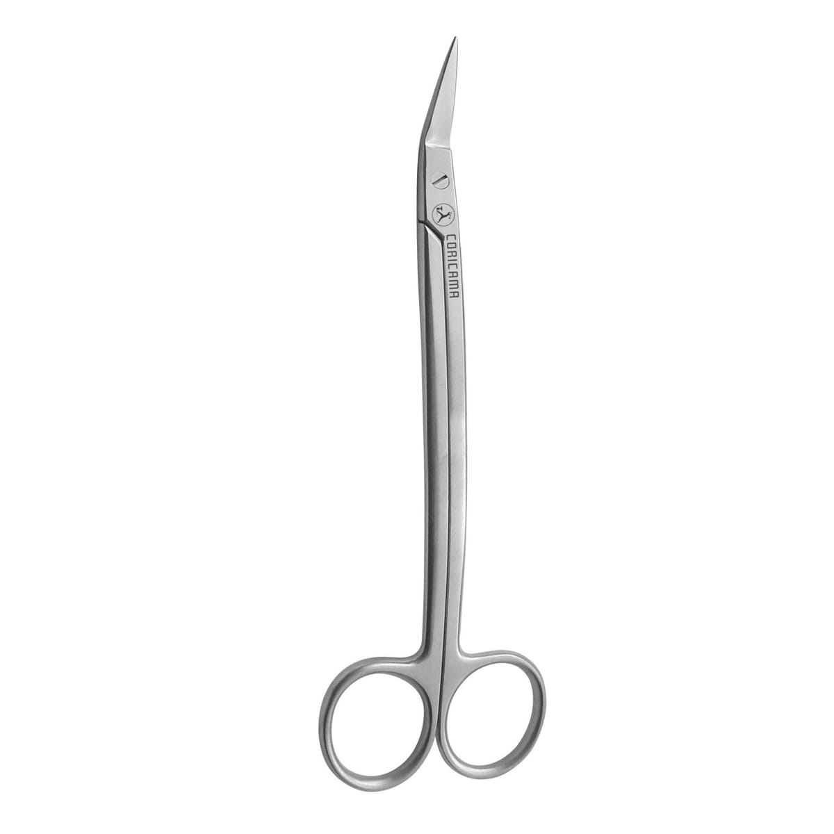 CISEAU DEAN mm170 ANGLÉ – Coricama srl, Skalpelle und Zubehör
