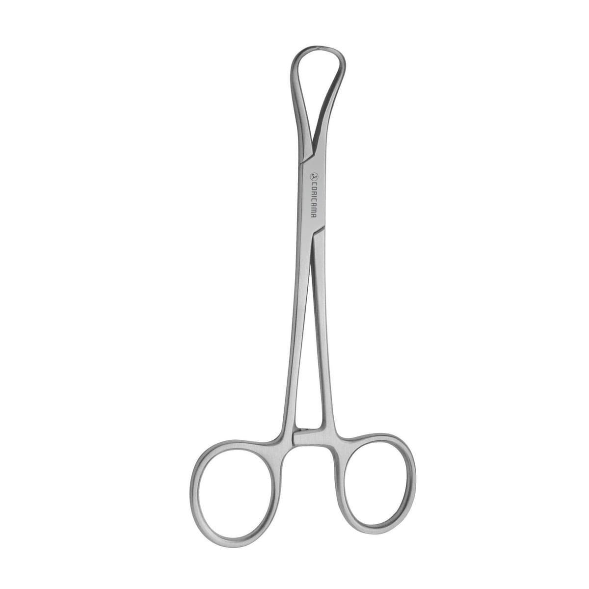 PINCE BACKHAUS mm130 – Coricama srl, Rubber Dam Clamps
