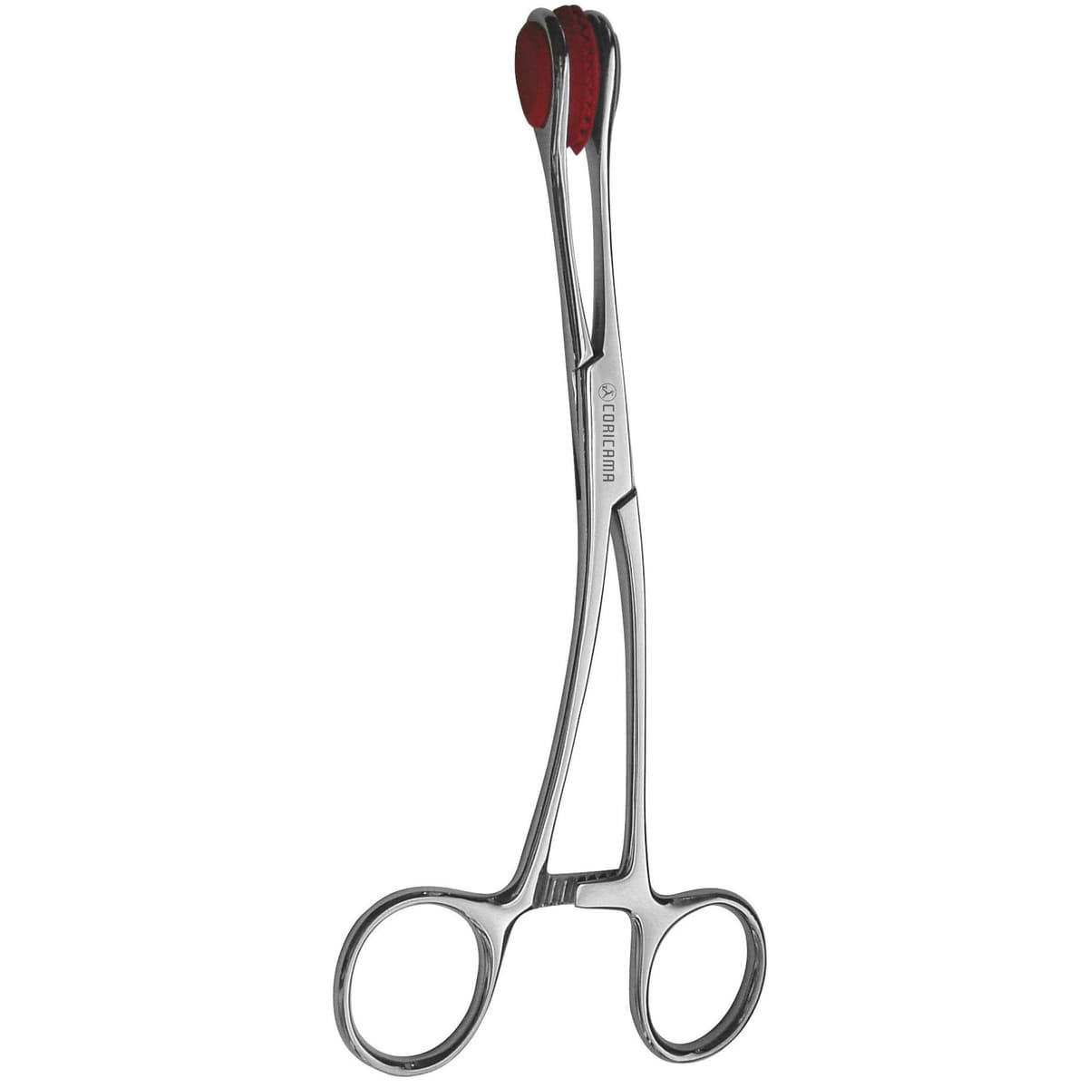 PINCE TIRE-LANGUE YOUNG – Coricama srl, Chirurgische Instrumente