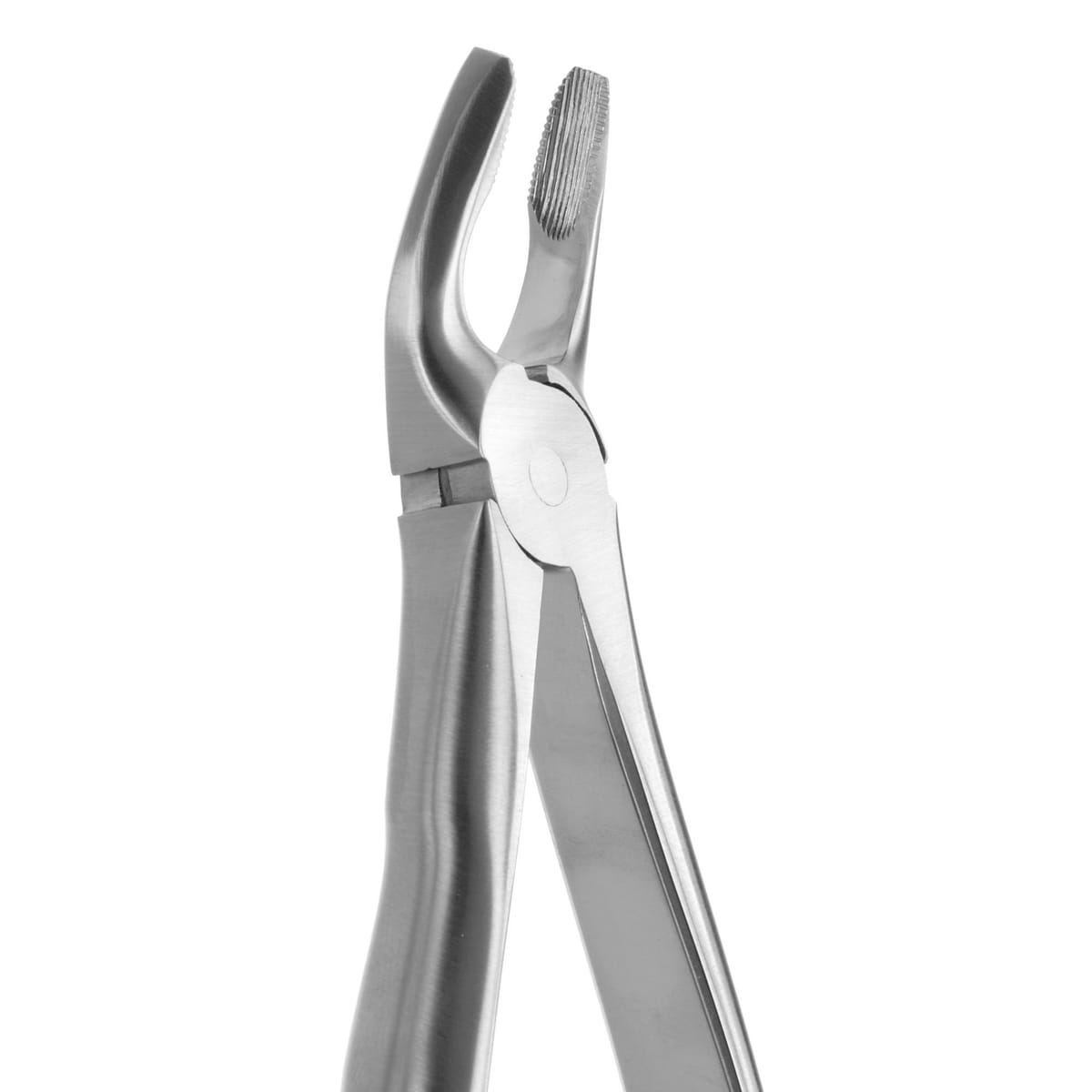 DAVIER POUR EXTRACTION BLADE BEAKS N. 7 – Coricama srl, Extraction Forceps