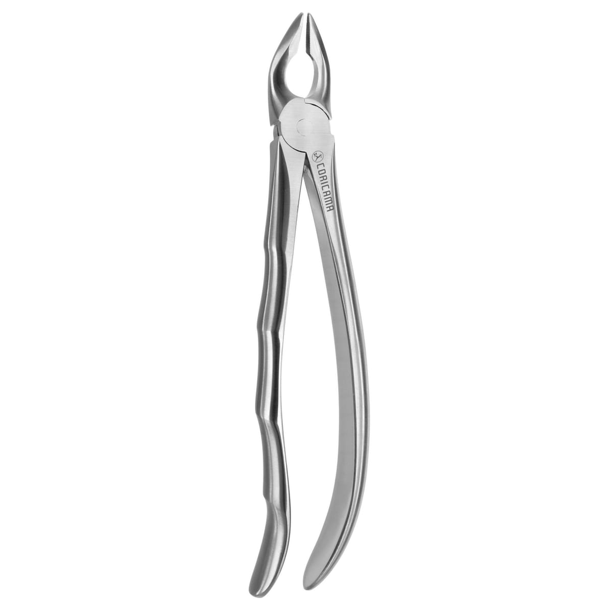 DAVIER POUR EXTRACTION BLADE BEAKS N.35-N – Coricama srl, Extraktionszangen