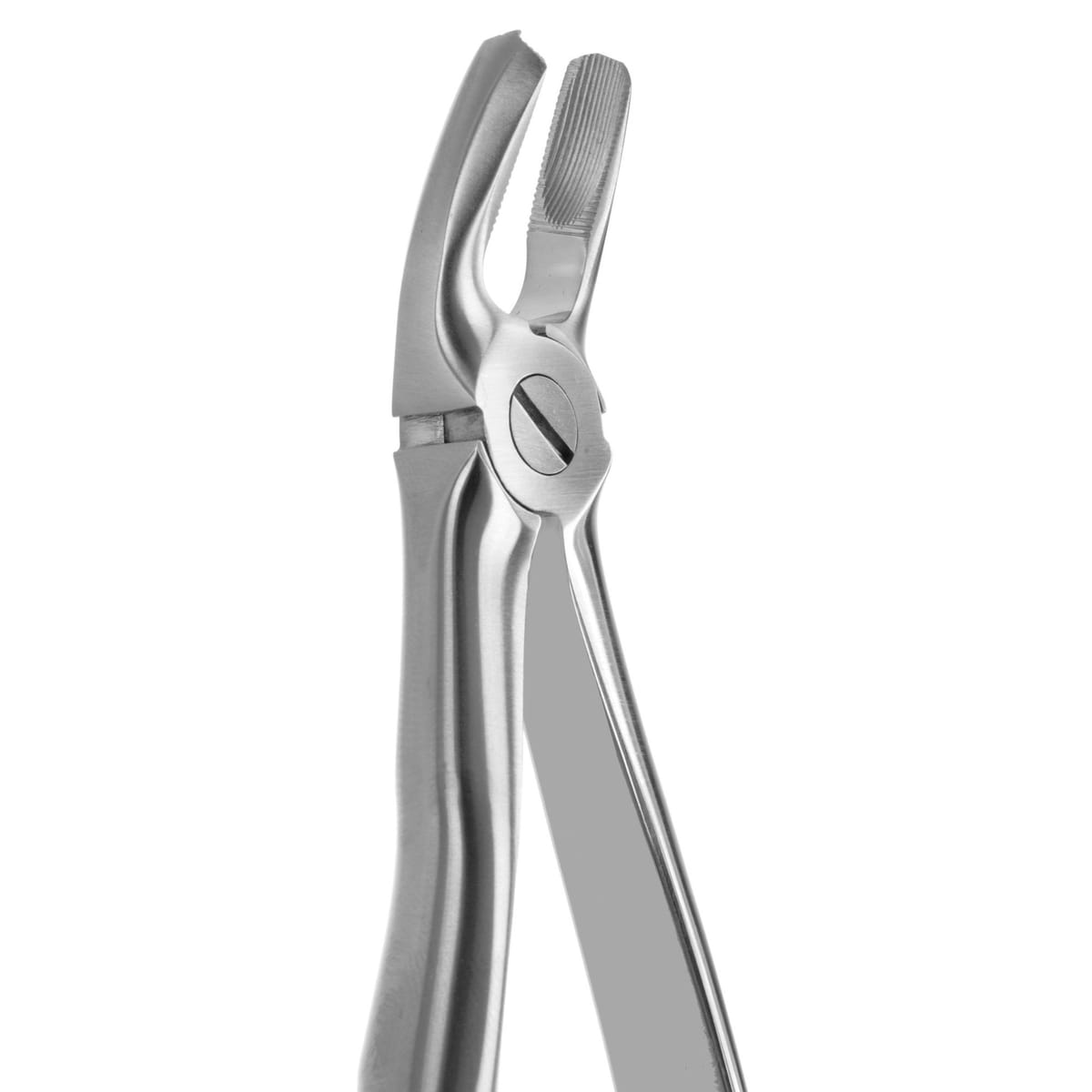 TOOTH FORCEPS BLADE BEAKS N.17 612250 – Coricama srl, Extraktionszangen