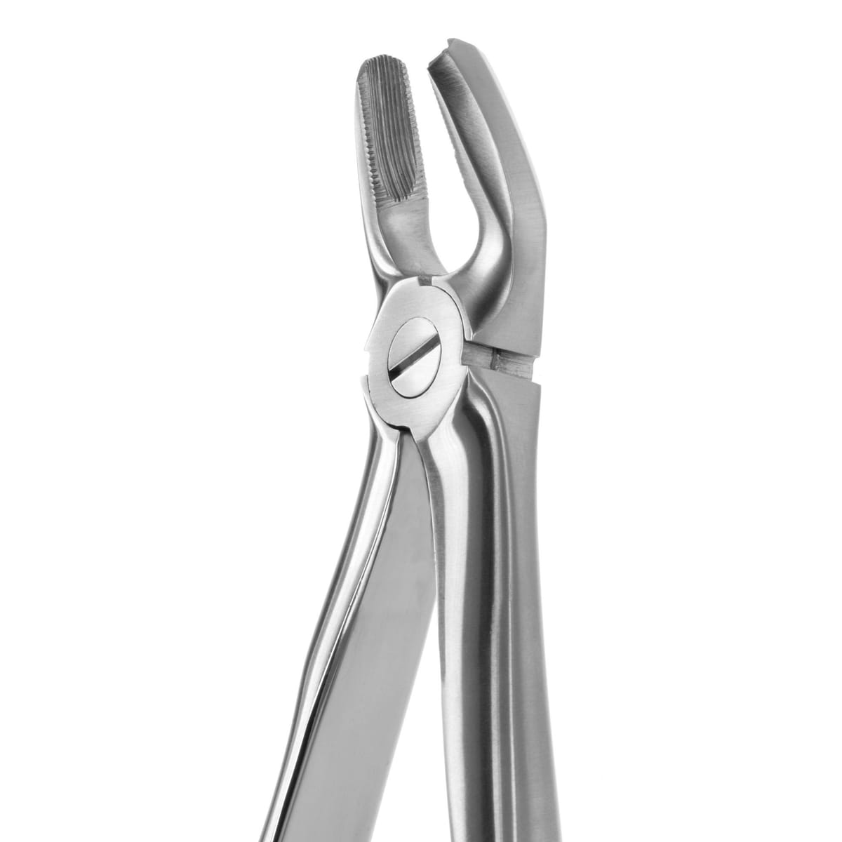 TOOTH FORCEPS BLADE BEAKS N.18 612260 – Coricama srl, Extraction Forceps