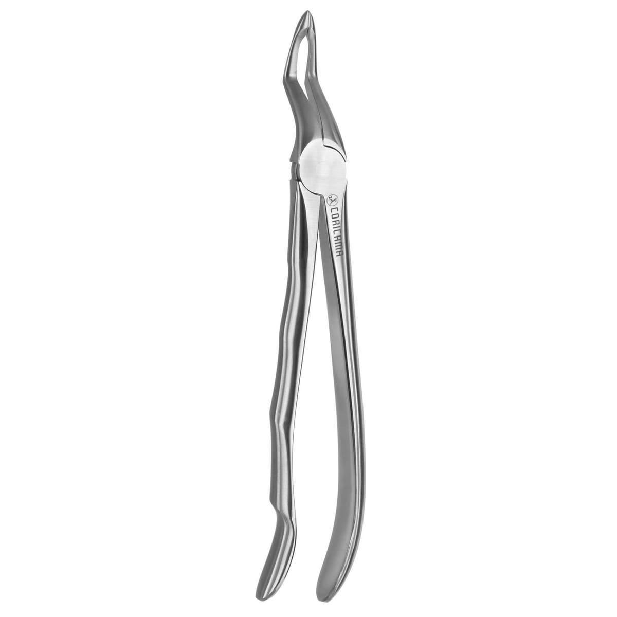 TOOTH FORCEPS BLADE BEAKS N.51 612270 – Coricama srl, Extraktionszangen