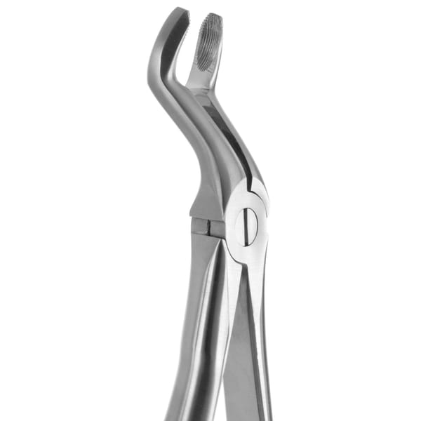 DAVIER POUR EXTRACTION BLADE BEAKS N.67