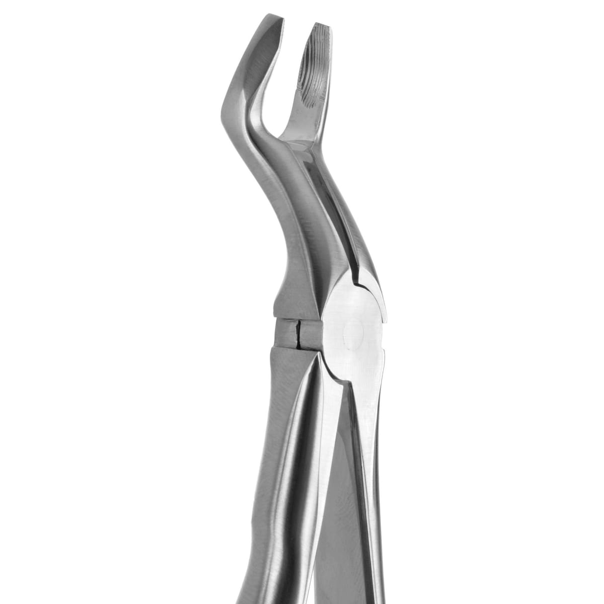 DAVIER POUR EXTRACTION BLADE BEAKS N.67-N – Coricama srl, Extraction Forceps