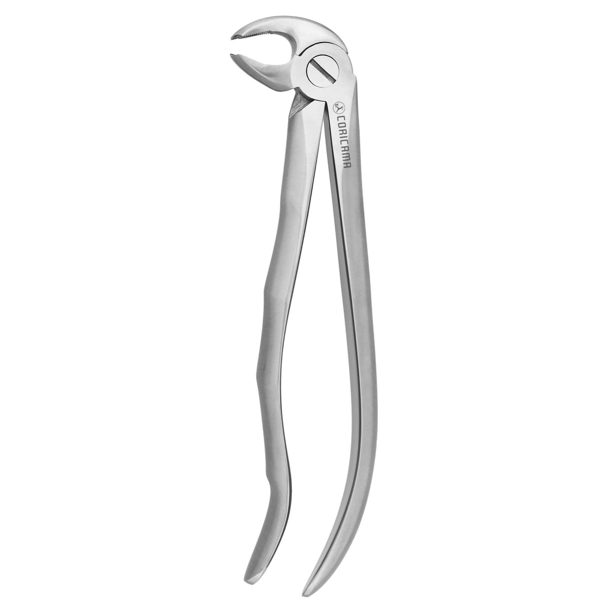 TOOTH FORCEPS BLADE BEAKS N.22 612410 – Coricama srl, Extraktionszangen