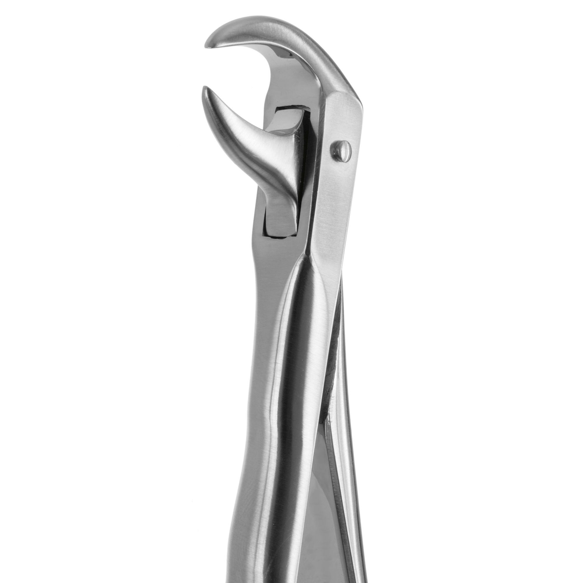 DAVIER POUR EXTRACTION BLADE BEAKS N.86