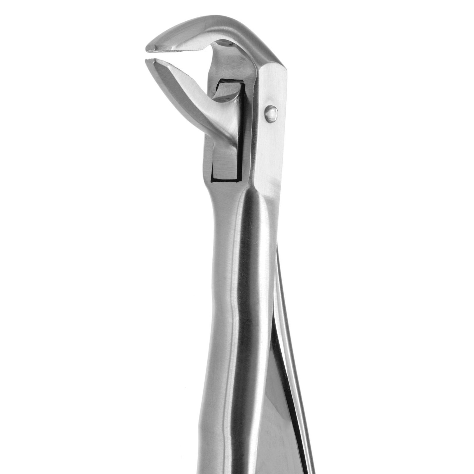 DAVIER POUR EXTRACTION BLADE BEAKS N.74