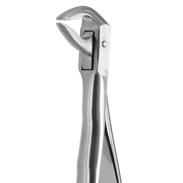 DAVIER POUR EXTRACTION BLADE BEAKS N.74