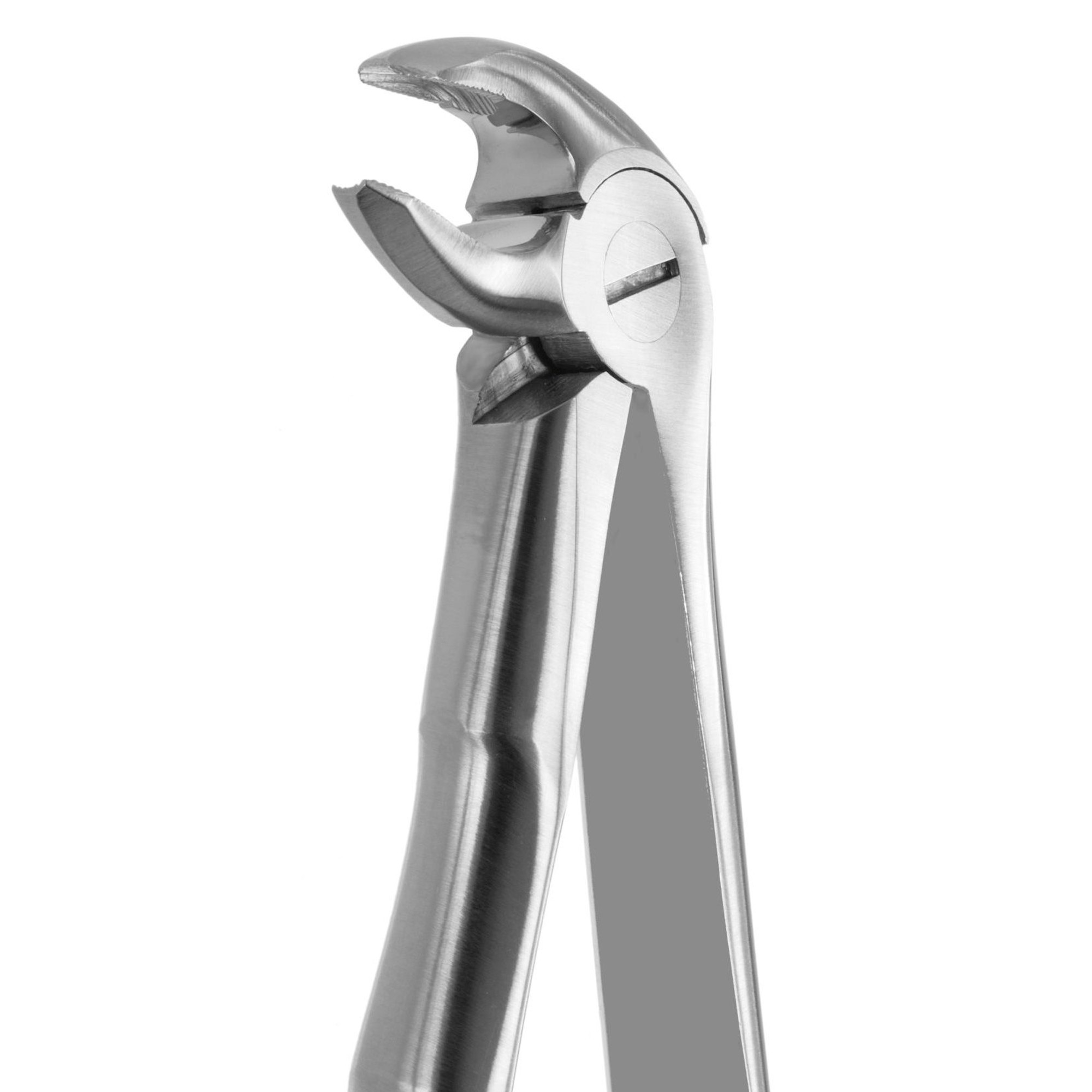 DAVIER POUR EXTRACTION BLADE BEAKS N.13