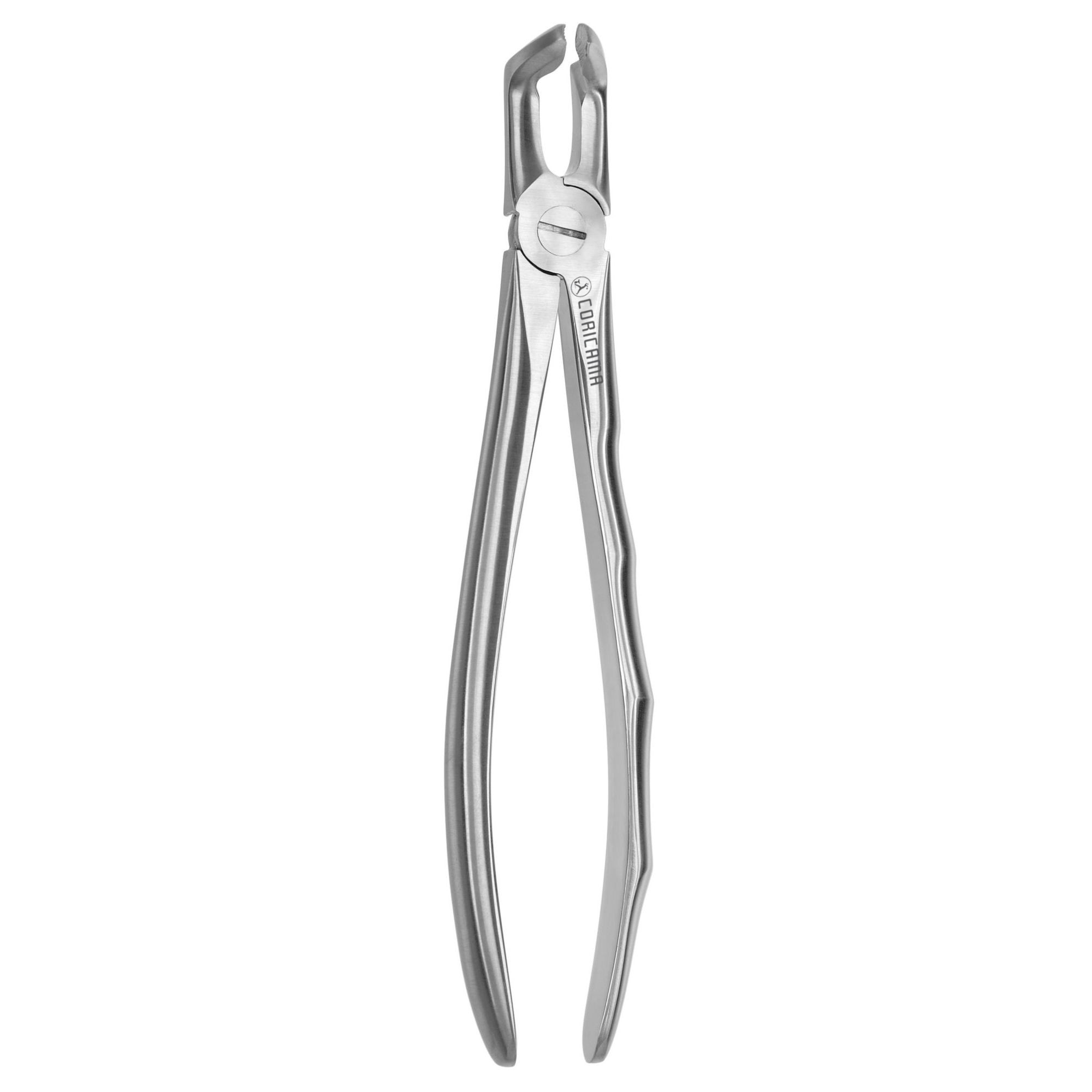 DAVIER POUR EXTRACTION BLADE BEAKS N.79