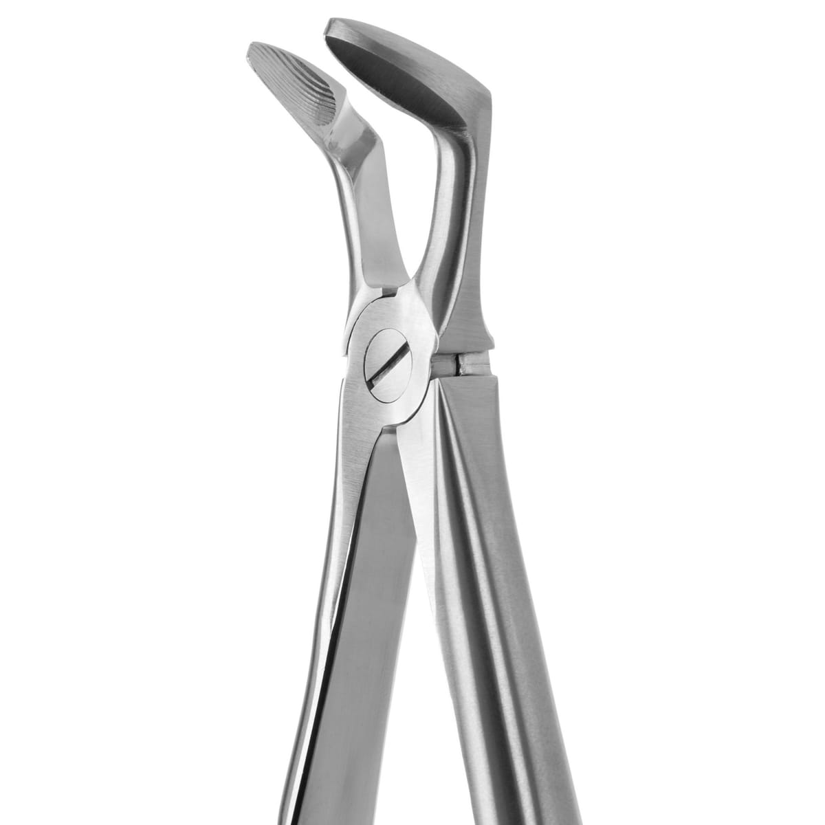 DAVIER POUR EXTRACTION BLADE BEAKS N.79-N – Coricama srl, Extraction Forceps